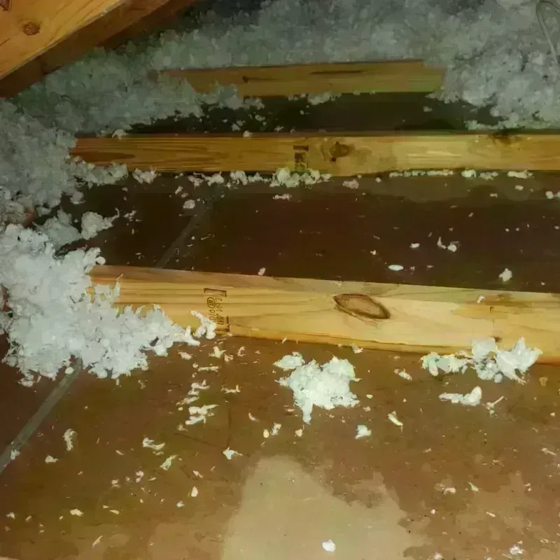 Attic Water Damage in Spring House, PA